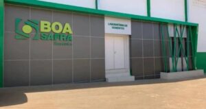 Lucro da Boa Safra (SOJA3) no 4T24 cai 62,68%, atingindo R$ 80,263 milhões
