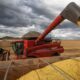 Conab Confirma Estimativa de Safra Recorde Após Primeiras Colheitas