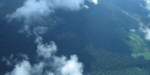 Petrobras Investirá R$ 450 Milhões em Créditos de Carbono na Amazônia