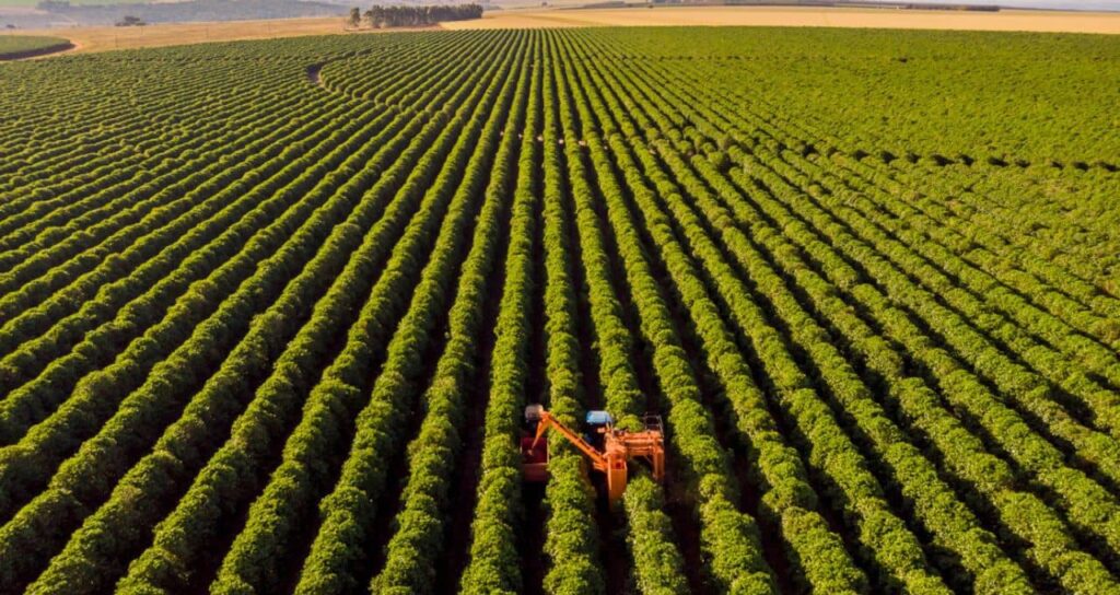 Impacto do 'Tarifaço' de Trump no Agronegócio Brasileiro: Análise de Economista do Bradesco BBI na Tecnoshow Comigo